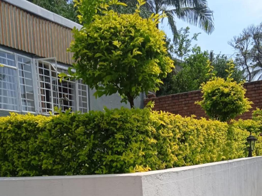 Kaste Guesthouse Tzaneen Extérieur photo