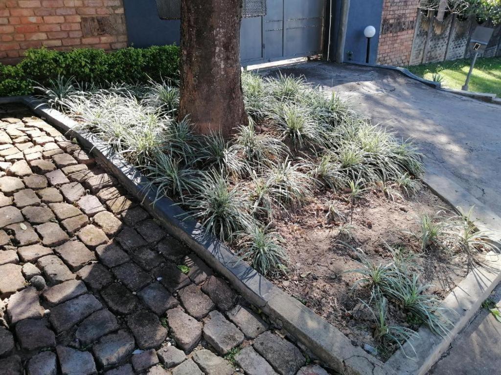 Kaste Guesthouse Tzaneen Extérieur photo